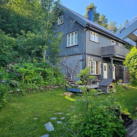 Valdres Naturlegvis فاجيرنز المظهر الخارجي الصورة