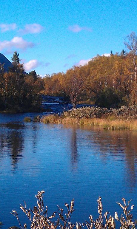 Valdres Naturlegvis فاجيرنز المظهر الخارجي الصورة