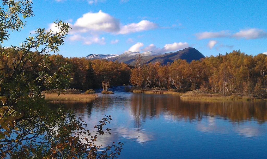 Valdres Naturlegvis فاجيرنز المظهر الخارجي الصورة