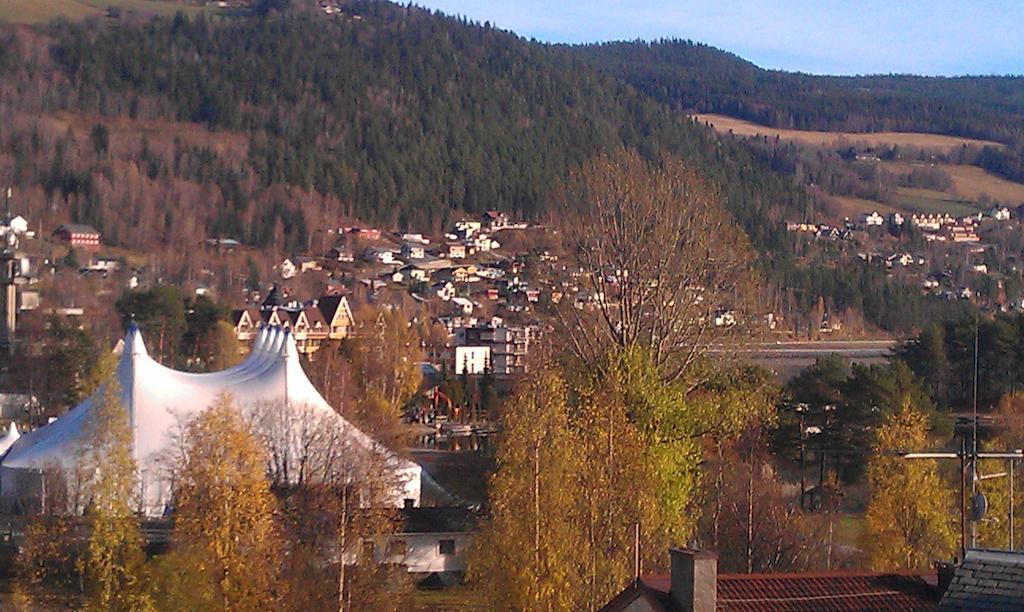 Valdres Naturlegvis فاجيرنز المظهر الخارجي الصورة