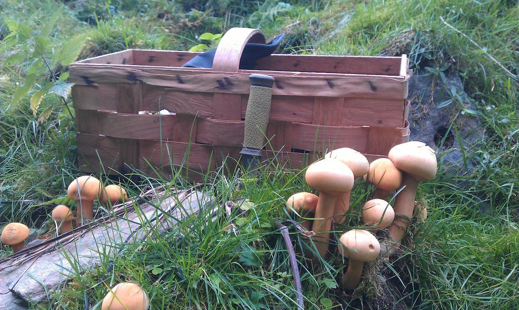 Valdres Naturlegvis فاجيرنز المظهر الخارجي الصورة