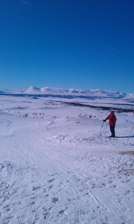 Valdres Naturlegvis فاجيرنز المظهر الخارجي الصورة