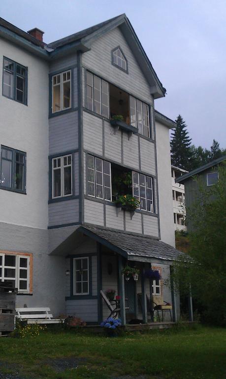 Valdres Naturlegvis فاجيرنز المظهر الخارجي الصورة