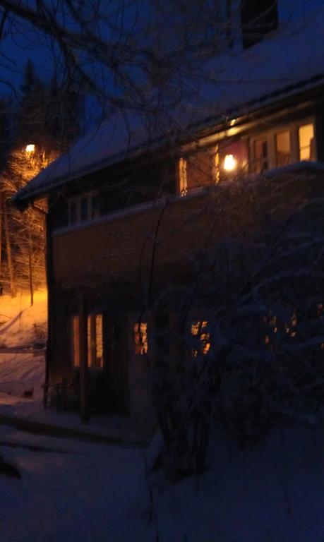 Valdres Naturlegvis فاجيرنز المظهر الخارجي الصورة